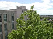 DSCN1337