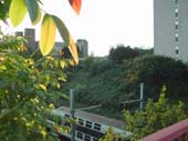 DSCN1352
